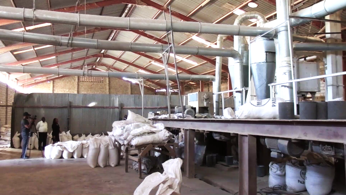 Rice in wharehouses
