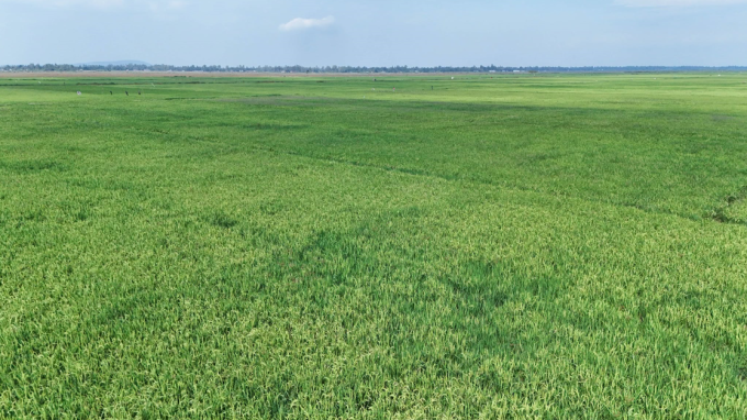 Bunyala Irrigation Scheme