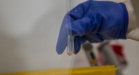 Ebola news top