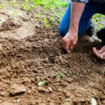 gardening leave meaning - Garden leave