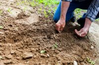 gardening leave meaning - Garden leave