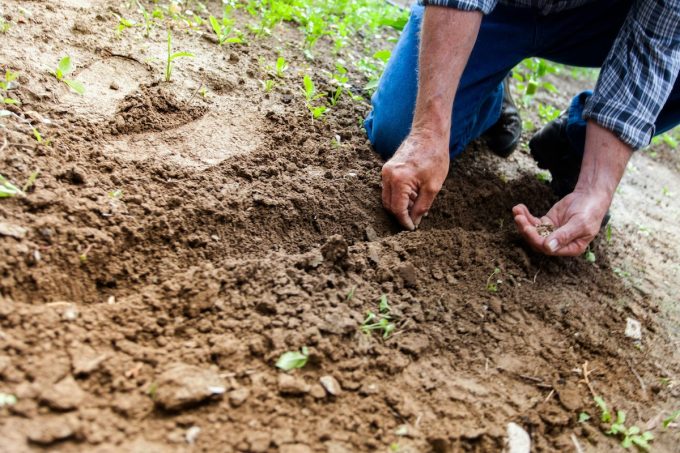gardening leave meaning - Garden leave
