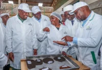 CS Mutahi Kagwe agriculture with Embu Governor