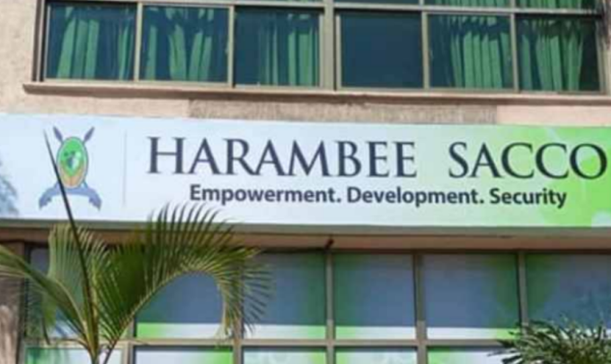 Harambee DT Sacco