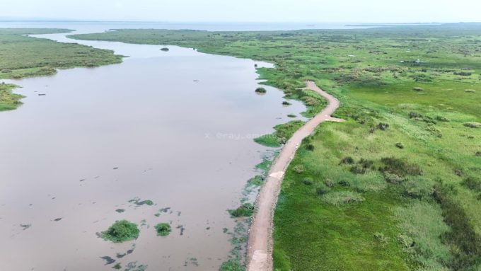 Kano Plains