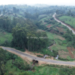 Mau Mau Road