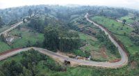 Mau Mau Road