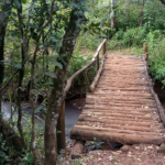 Ngong Road Forest sanctuary