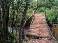 Ngong Road Forest sanctuary