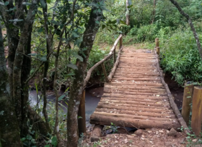 Ngong Road Forest sanctuary