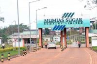 Mumias Sugar Company.