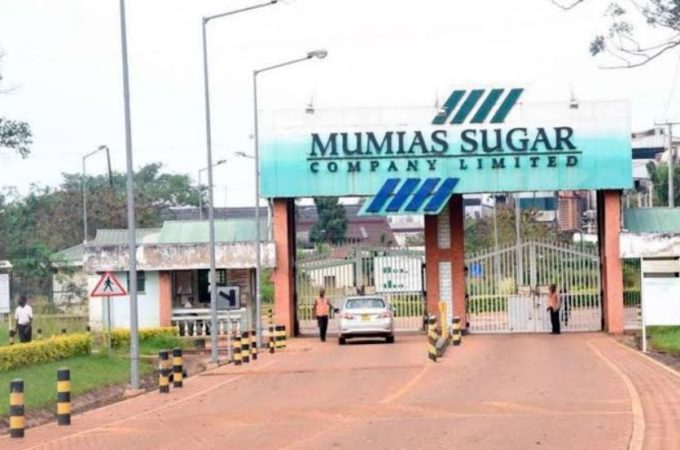 Mumias Sugar Company.