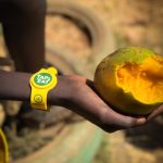 Tap2Eat data intelligence made it possible to absorb 1 million mangoes in a month.