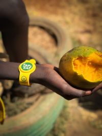 Tap2Eat data intelligence made it possible to absorb 1 million mangoes in a month.