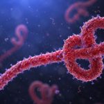 Scientific concept of Ebola virus.