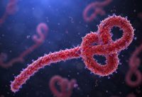 Scientific concept of Ebola virus.
