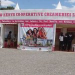 The issue is significant for farmers who rely on New KCC as a market for their milk.