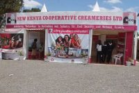 The issue is significant for farmers who rely on New KCC as a market for their milk.